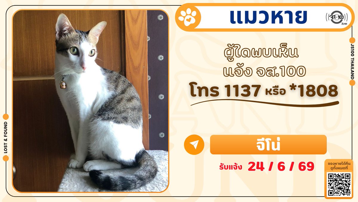 js100radio's tweet photo. แมวหายจากร้านเสริมสวยเวอร์จิ้น อยู่ระหว่างซ.พาณิชยการธนบุรี 28-30 เขตบางกอกใหญ่ ผู้ใดพบเห็นแจ้ง JS100 โทร *1808 หรือ 1137

รายละเอียดเพิ่มเติม : https://t.co/1ltElSASbR

#แมวหาย #ตามหาแมวหาย #JS100 https://t.co/TX0KKDqXem