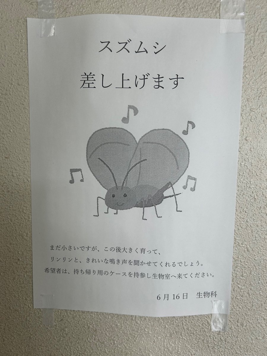 mis0_justice's tweet photo. 夏、始まったな https://t.co/ysTSpWoEJq