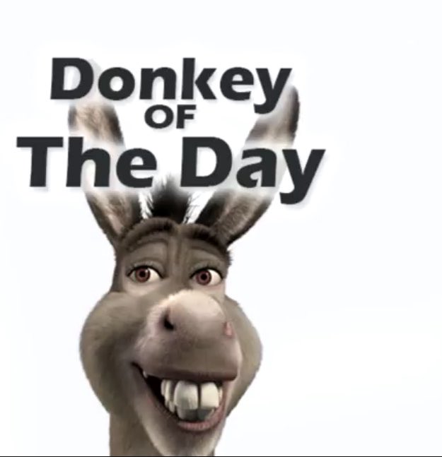 NeilPineda's tweet photo. @cxllumlfc100 We found the donkey of the day https://t.co/fFRx4IvGQI