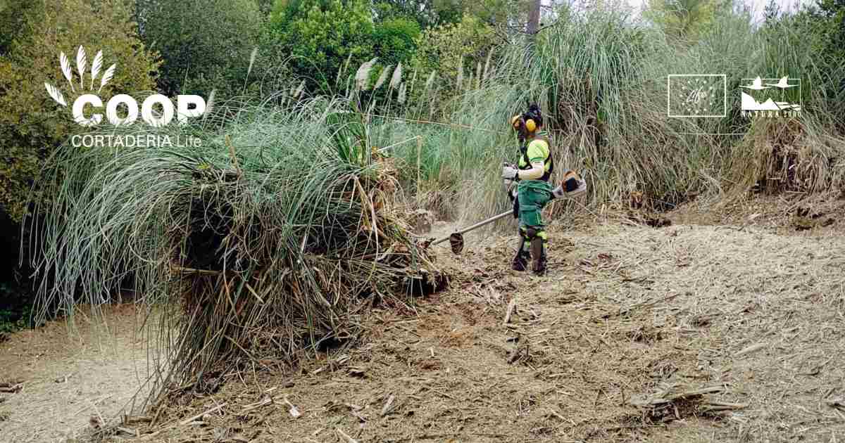stopcortaderia tweet picture