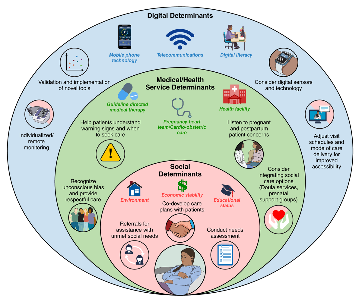 AHAScience's tweet photo. Published today, Heart Failure Occurring in the Perinatal Period: A Scientific Statement from the American Heart Association.

Assessment of cardiac function and cardiogenic pulmonary or systemic congestion include modalities such as electrocardiography, echocardiography, serum biomarkers, magnetic resonance imaging, and chest radiography.

✍🏼  @DemiladeMD @noshreza @modeldoc @Mulubrhan @mmogos2 @JennaSkowronski

https://t.co/9DI2MHkRCv

📷 Tailored cardio-obstetric care for pregnant and postpartum individuals with and at risk for heart failure.
