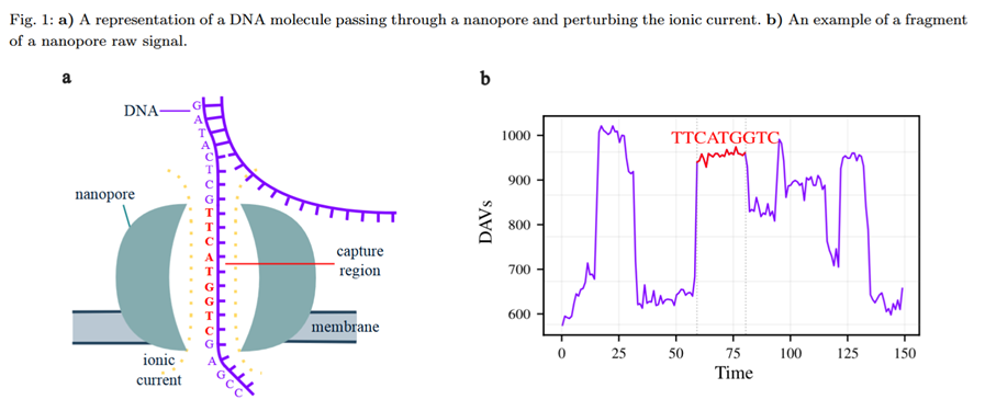 BioinfoAdv's tweet photo. ⚡ Just published in Bioinformatics Advances: "Efficient lossless compression of nanopore sequencing signals" 

Find the full paper at: https://t.co/NGiPvzbwpi https://t.co/qHopalX5ie