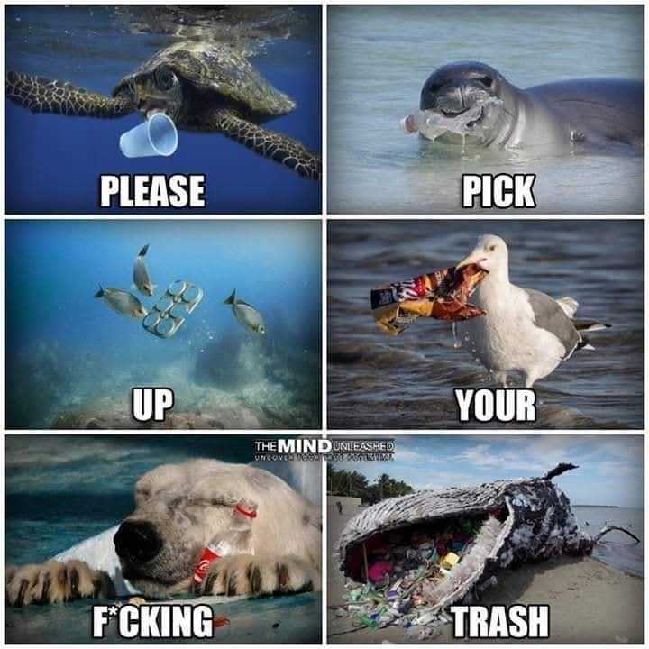 Animalww26's tweet photo. Microplastics were found in every species of sea turtle across the world...

Did you know there are 51 trillion microplastic particles in the ocean, 500 times more than stars in our galaxy https://t.co/pYeE8HRqlQ