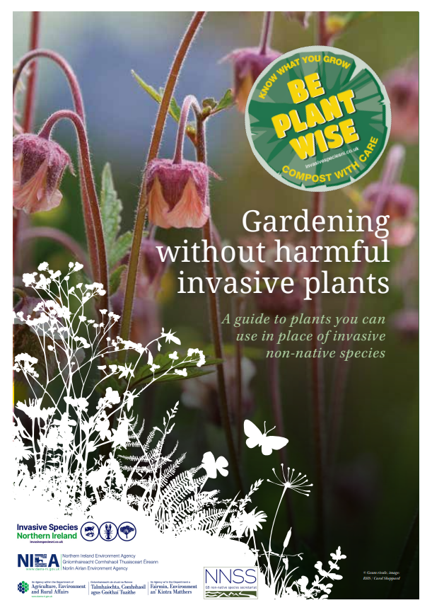InvasNI's tweet photo. #BePlantWise this Invasive Species Week
Are you gardening this weekend?
Why not use this guide to gardening without harmful invasive plants.
Available for download from our website ๐ https://t.co/TvtMcOWbmb
#INNSWeek
@daera_ni https://t.co/wmxVkVVrDi