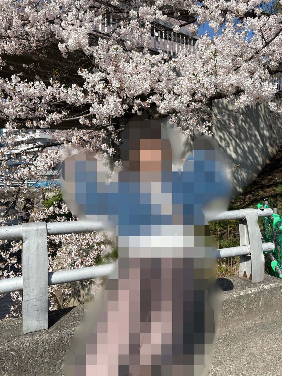 ren_process's tweet photo. 隠れ映えスポットの桜の木を切るそうです！
桜をバックに綺麗にとれるあの桜の木を🌸*･
車の通りも少ないので毎年桜をバックに撮らせていただいていた、思い出もある桜の木です🌸
#桜の木
#思い出の桜の木
#切らないでほしい https://t.co/1eYU9HCsiF