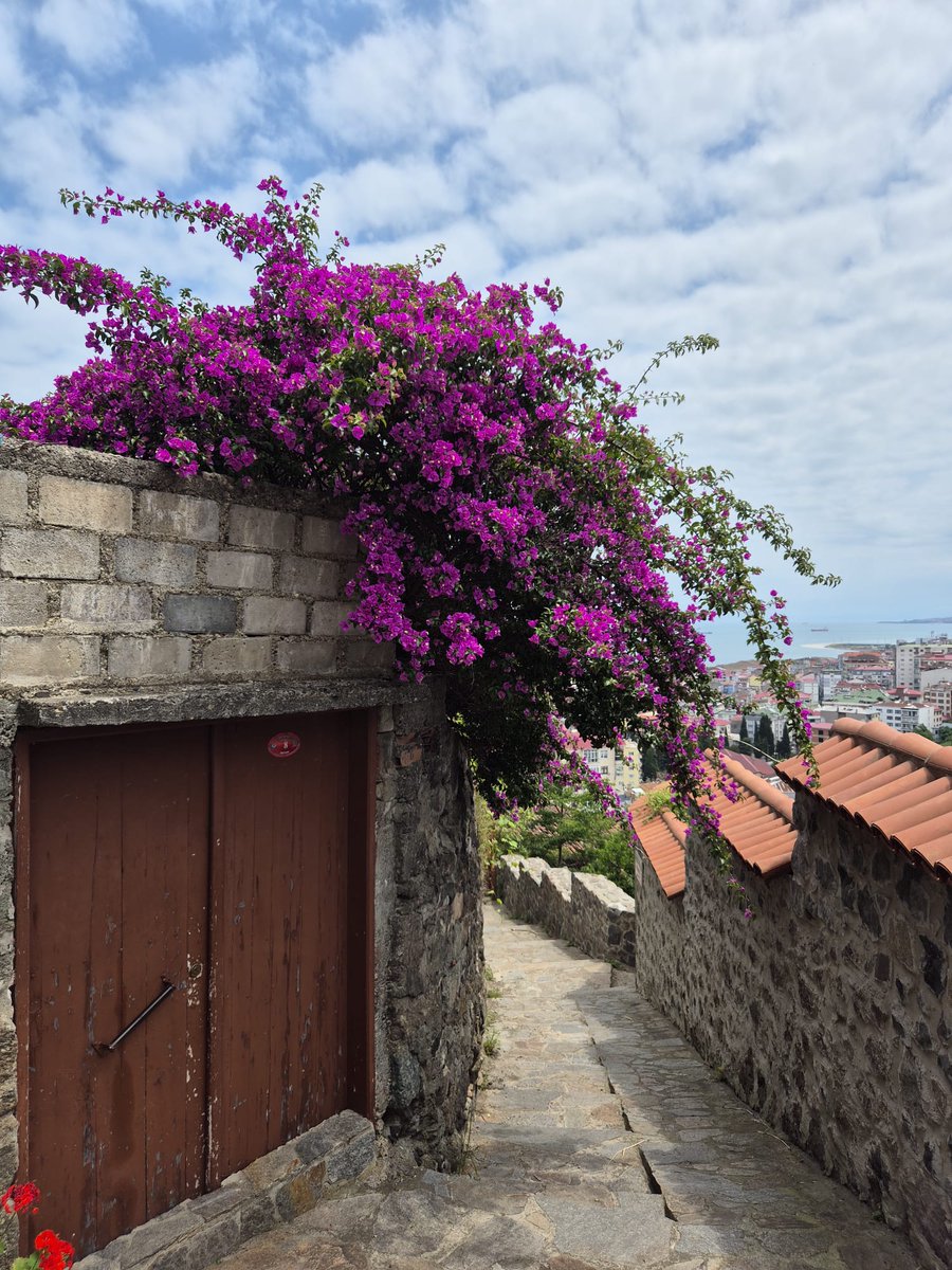 fatma_kull's tweet photo. Memleket 🌸 https://t.co/VBd4MigzzC