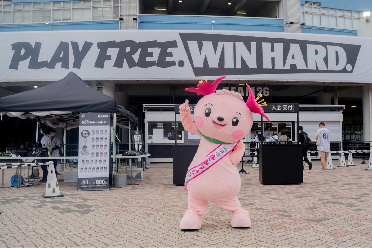 kimipyonn's tweet photo. 6月19日！ZOZOマリンスタジアムのALL FOR CHIBAにあそびにいってきたよー✨

たくさんのお友達に君津のいいところをPRしたよ！☀️

#千葉ロッテマリーンズファーム本拠地移転先の君津市です https://t.co/1oMrG96KV9