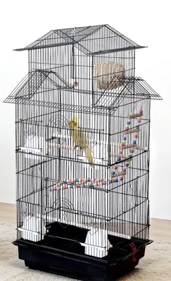 kagekineko's tweet photo. 今の僕は籠の鳥です(笑)
この言葉は➕イメージ。
そのつもりでの発言です。
360度が視界の世界。
確かに小世界ですが
イメージを膨らますことで壮大な世界が広がります。
どっちを向いても異なる世界が待っています。 https://t.co/AjtCziYQJM