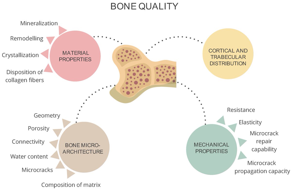 JCM_MDPI's tweet photo. #mdpijcm
📖 Recommended #ReviewPaper 
✅ Citations 22
Evaluating #Osteoporosis in #ChronicKidneyDisease: Both Bone Quantity and Quality Matter
📌https://t.co/NESVKx7kQh
✍️Maria J. Lloret et al. @luisgerardodg 
@MediPharma_MDPI
#fractures #bonequality https://t.co/t1AbSsBy5R