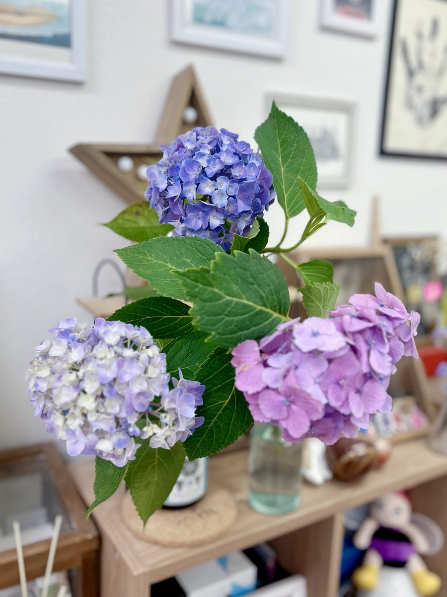 roundabout_nail's tweet photo. 紫陽花の花言葉って「移り気」が有名だけど、変わるって悪いことじゃない

変化は成長でもあるし、進化でもあるし、
前に進んでる証でもある😊

咲き進むと花の色が徐々に変化する紫陽花はとても素敵☺️

そんなふうに柔軟でありたい😌 https://t.co/R1mUvfOyTG