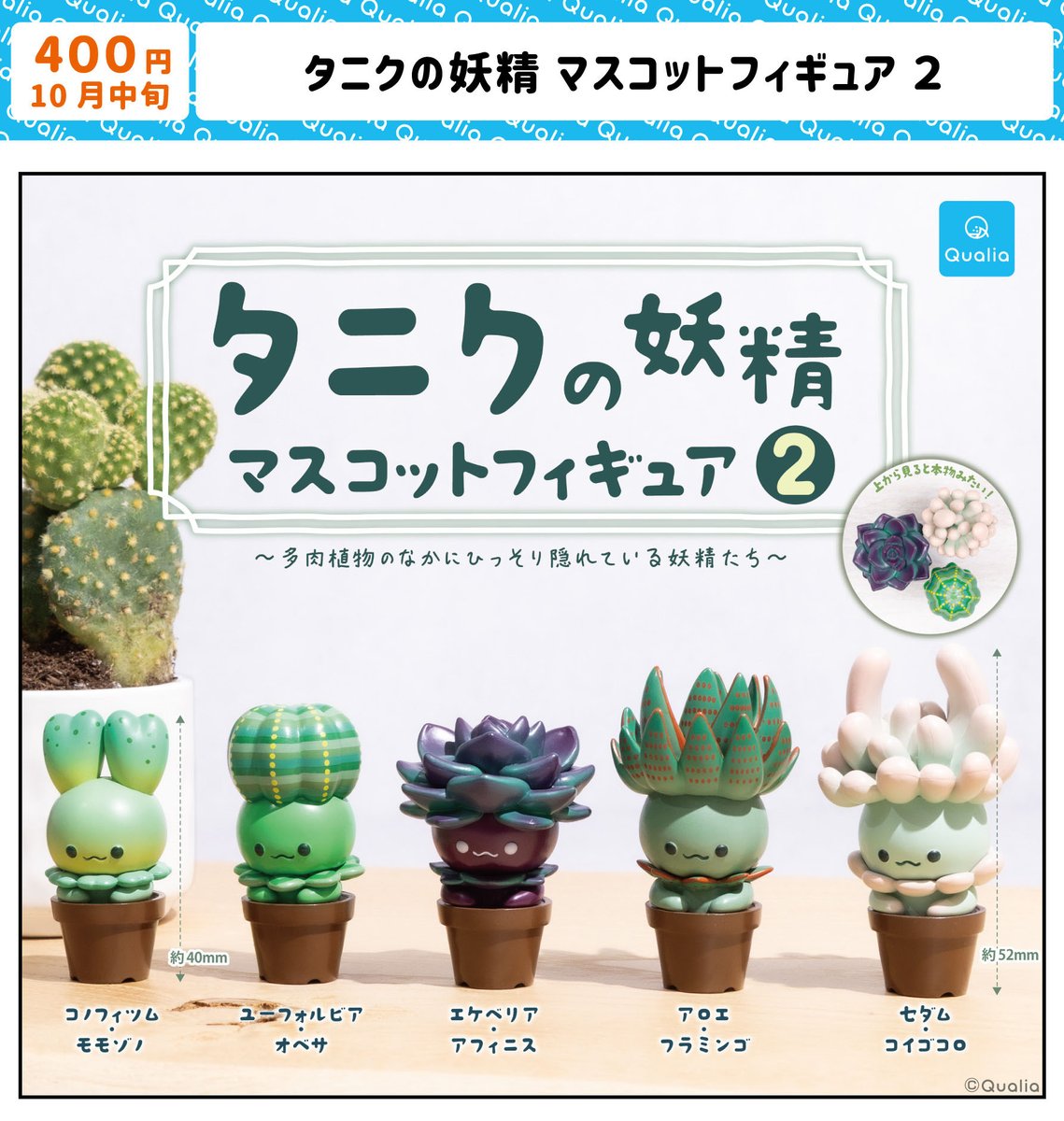 Qualia_45_'s tweet photo. 【#クオリアプロジェクト📄】
╭━━━━━━━━╮
　◎10月中旬発売🆕
╰━━━━━━━ｖ╯
〜多肉植物のなかにひっそり隠れている妖精たち〜
 「#タニクの妖精マスコットフィギュア2」

上から見ると本物みたい！？🌵
気になったらリポスト＆保存してね🪴

#カプセルトイ #クオリア https://t.co/f75K7UI2TX
