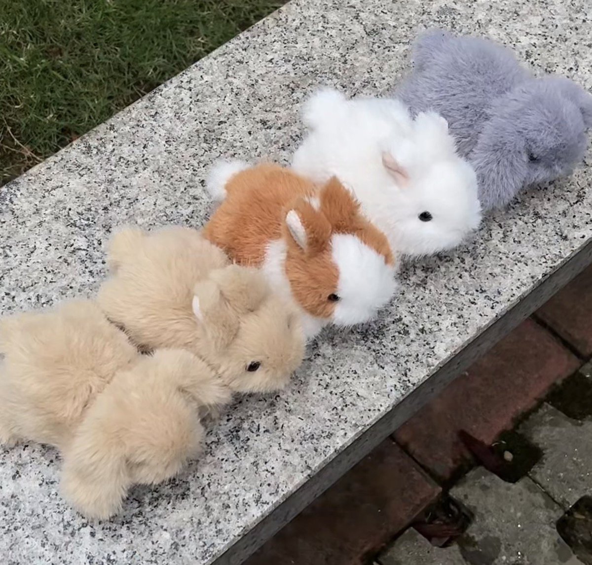RiRisomsom's tweet photo. 15cm 수제 아기 토끼 인형🐰 예약폼 

RT+폼 참여 1분께 1마리 더 보내드려요( ᐡ - ｪ - ᐡ)

귀여운 토끼 마스코트 인형입니다.
모아두면 더욱 귀여워요₍ᐢ. .ᐢ₎

주의사항을 정독 후 구매부탁드립니다.

https://t.co/Yw7OPXlw77 https://t.co/91dsWS43ro