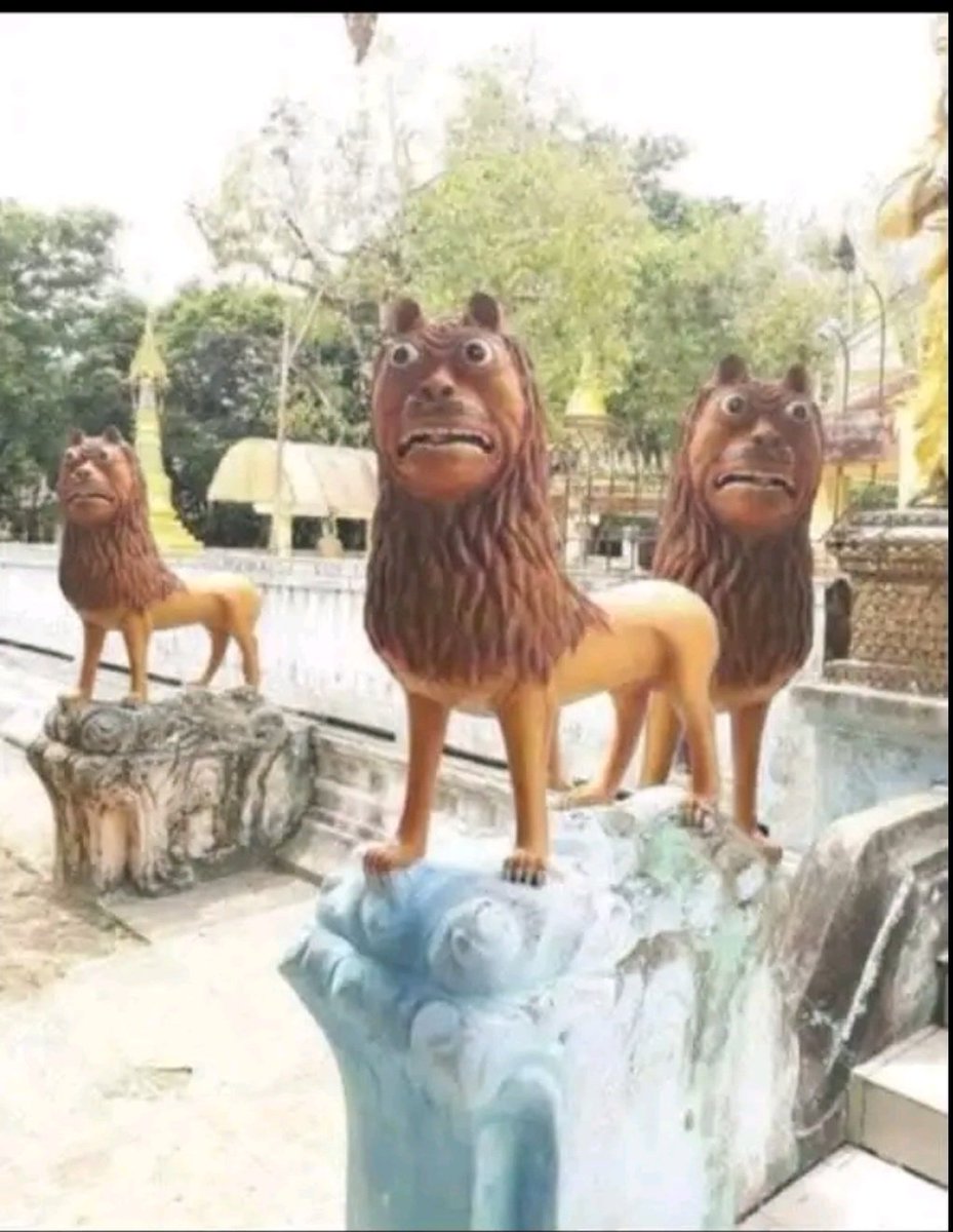 JNR_USTA's tweet photo. The three lions now!! https://t.co/MrAXlKF8EF