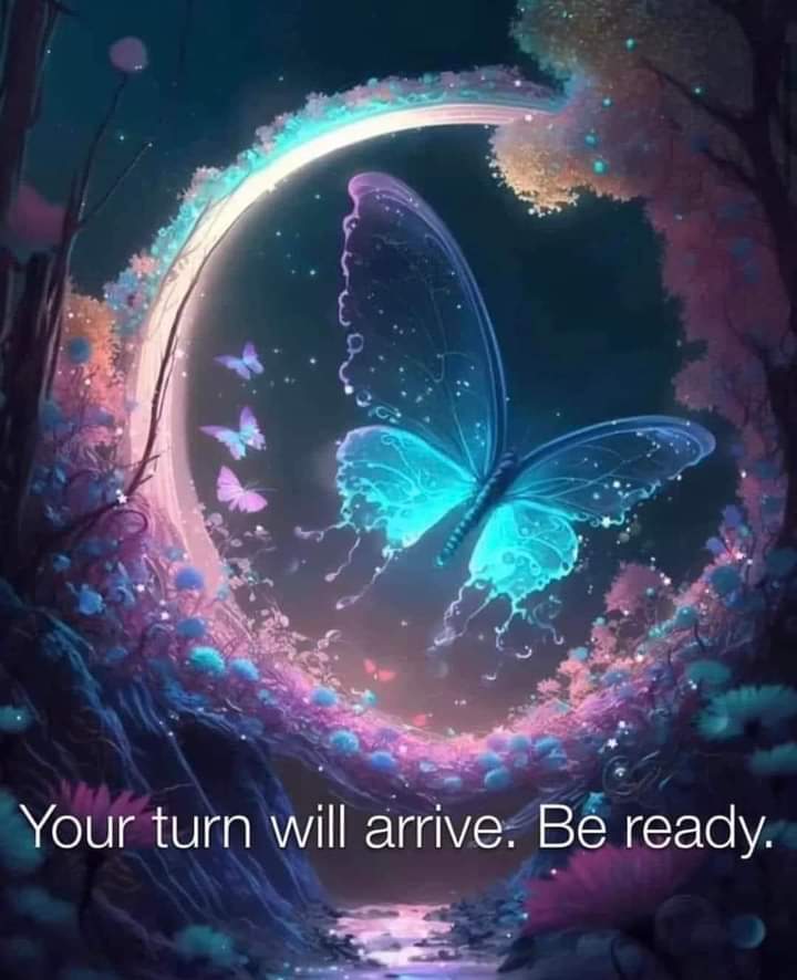 Manifest Your Dream Life✨ tweet media