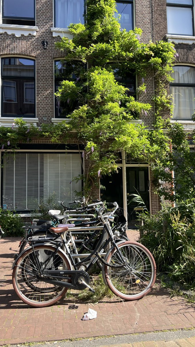 Linah_days's tweet photo. Amsterdam, 2026 https://t.co/sB3otvweHN