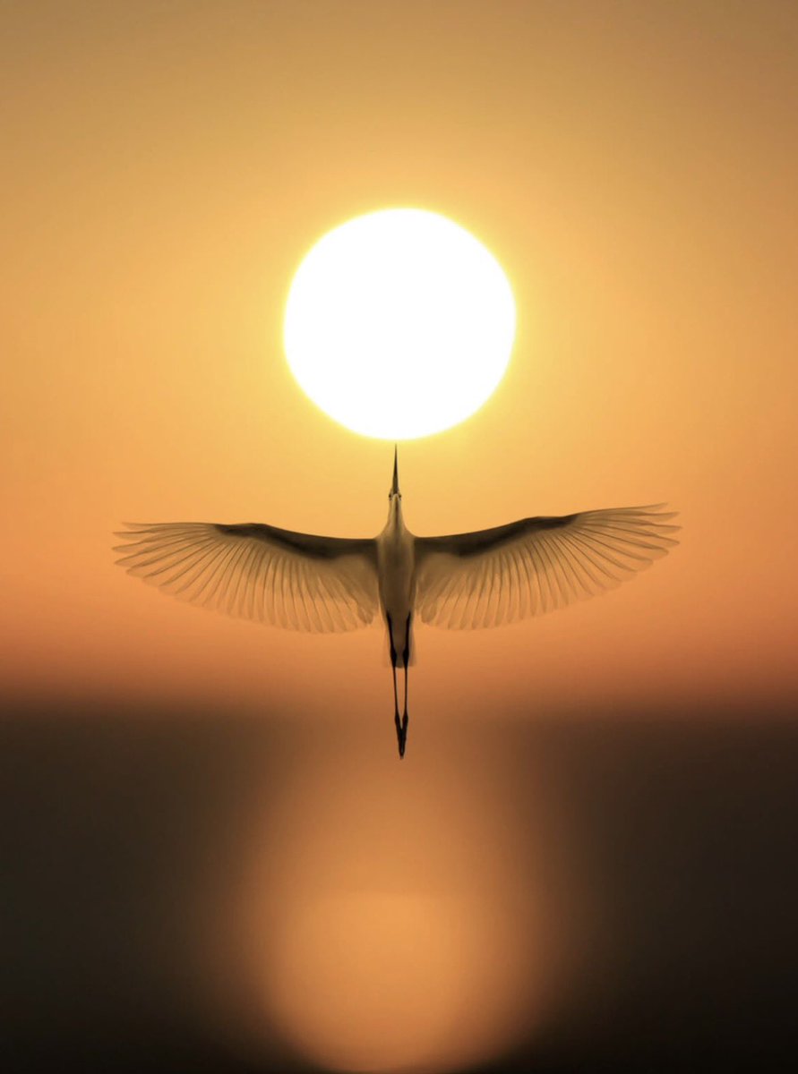 the_gpc_'s tweet photo. An early sunset 📸
By: mustafa gen https://t.co/xfRL67hk1A