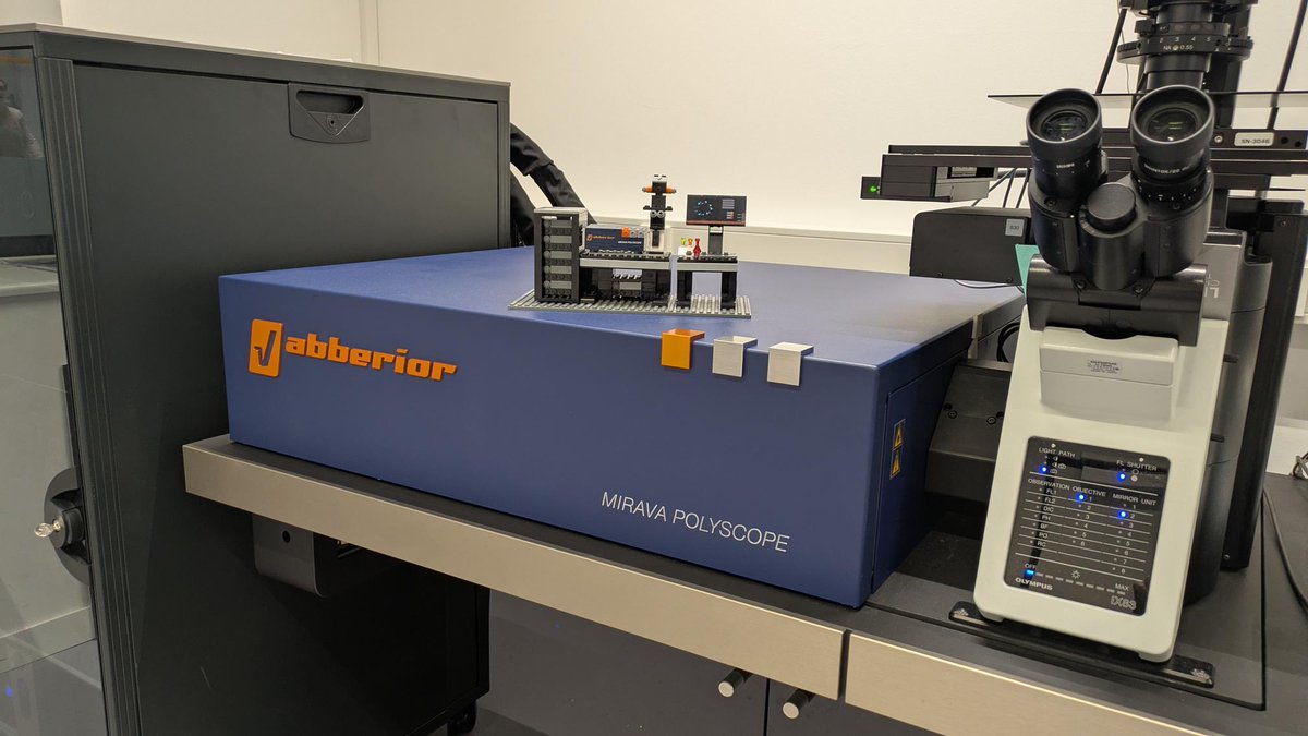 Abberior's tweet photo. Don't miss your chance to win one of the limited edition   building-brick models of our MIRAVA POLYSCOPE!🤩Sign up to our   newsletter until end of June and enter the raffle:   https://t.co/X9kRC5B2C4
#MIRAVAPOLYSCOPE https://t.co/HwK3kM6uis