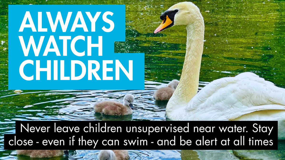 sthelenscouncil's tweet photo. As temperatures rise, we're all looking for ways to keep cool - but swimming in open water is not a safe option.

Open water can be dangerous, even in warm weather.

Know the risks. Stay safe. 

#FloatToLive https://t.co/MMq73EXS1w