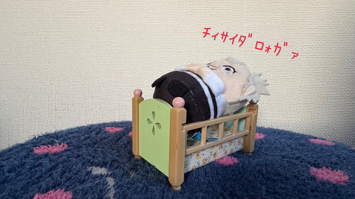Chairokko0705's tweet photo. ﾐﾁｬ🍃に可愛いベット買って来たんだけどさぁ...
小さかった🤣ごめんねﾐﾁｬ😭 https://t.co/mH2A1WlmJs