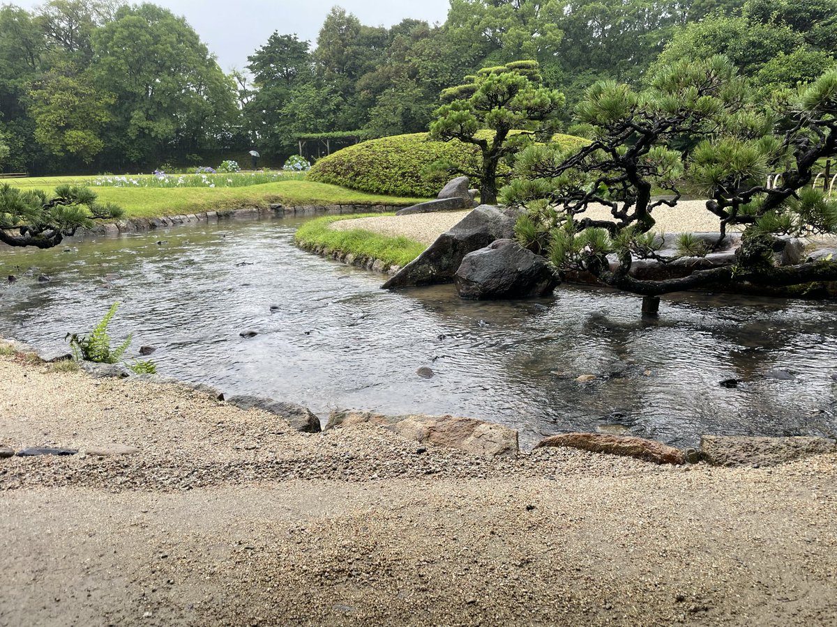 micchiii_'s tweet photo. 梅雨やなぁ https://t.co/w56Kgcm7iB