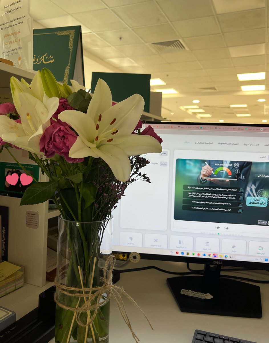 cs_rorita's tweet photo. أينما حل الورد وقع الجمال 🌸 https://t.co/65c9ynGH5w
