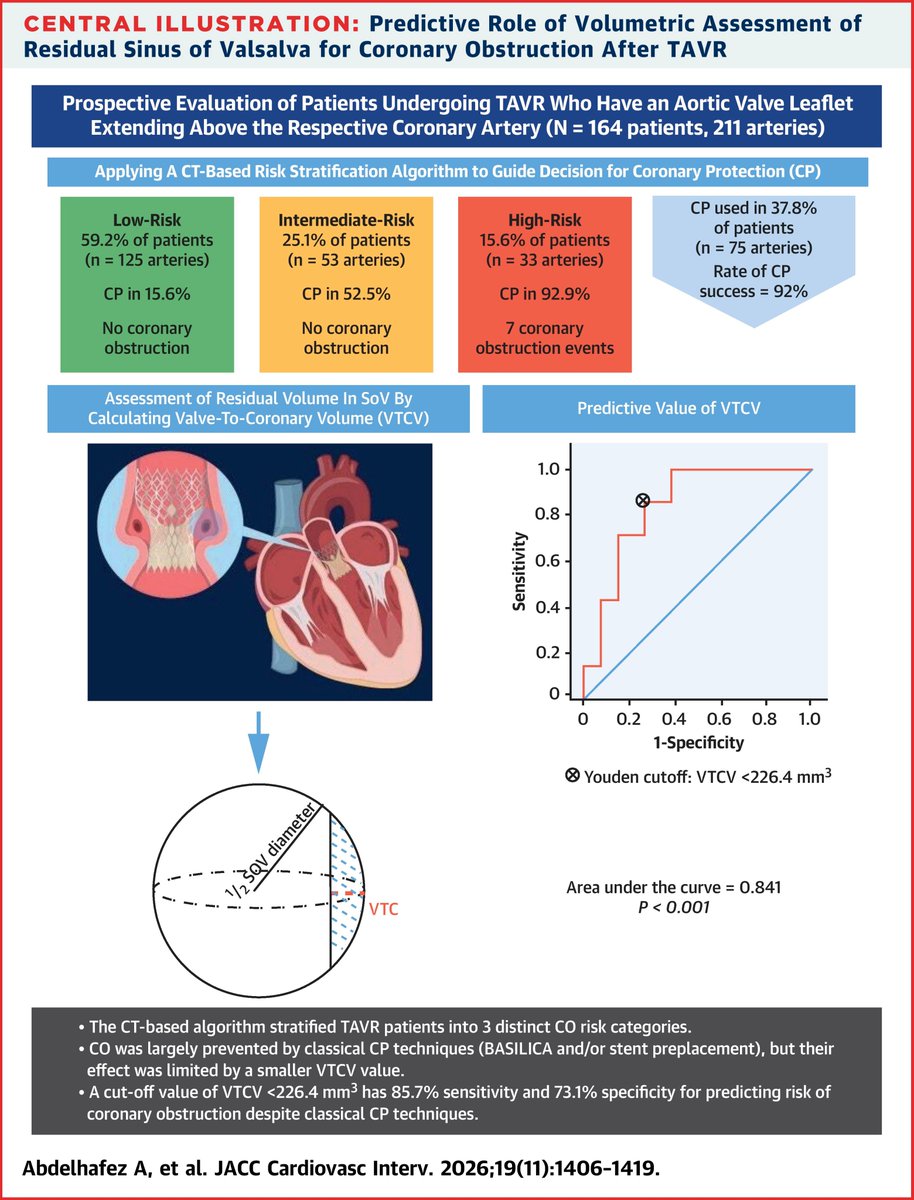 gbiondizoccai's tweet photo. A pre-TAVR CT algorithm stratifies patients into 3 coronary obstruction risk categories, though the decision for coronary protection in clinical practice seems to incorporate  additional clinical and procedural variables https://t.co/Hu5o3o5WB6 https://t.co/u8ZwDFWSpL