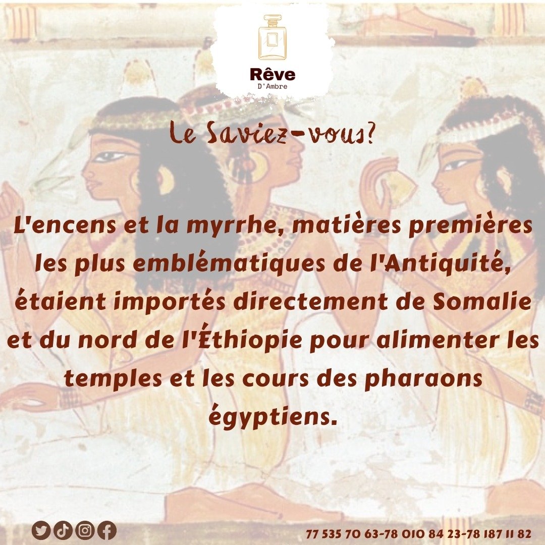 RevedAmbre's tweet photo. Bien avant les parfums modernes, l'encens et la myrrhe étaient parmi les trésors les plus précieux du monde antique. 
Leurs senteurs envoûtantes traversent les siècles. https://t.co/TNKy6XVvhg