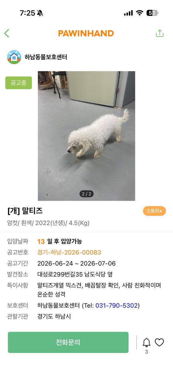 hanam_shelter's tweet photo. 최근 입소한 말티즈, 치와와, 푸들비숑 둘, 포메입니다.
품종견 제발 사지 말고 입양해주세요.

현재 보호소 개체수 포화로 입양확률이 낮은 큰아이들, 믹스견은 하남시보에 입소하지 못하고 무통보안락사하는 동구협으로 이송되고 있습니다.

✔️ 하남시보 입양문의: https://t.co/cuhx6DitGs https://t.co/meJsMs9ewk
