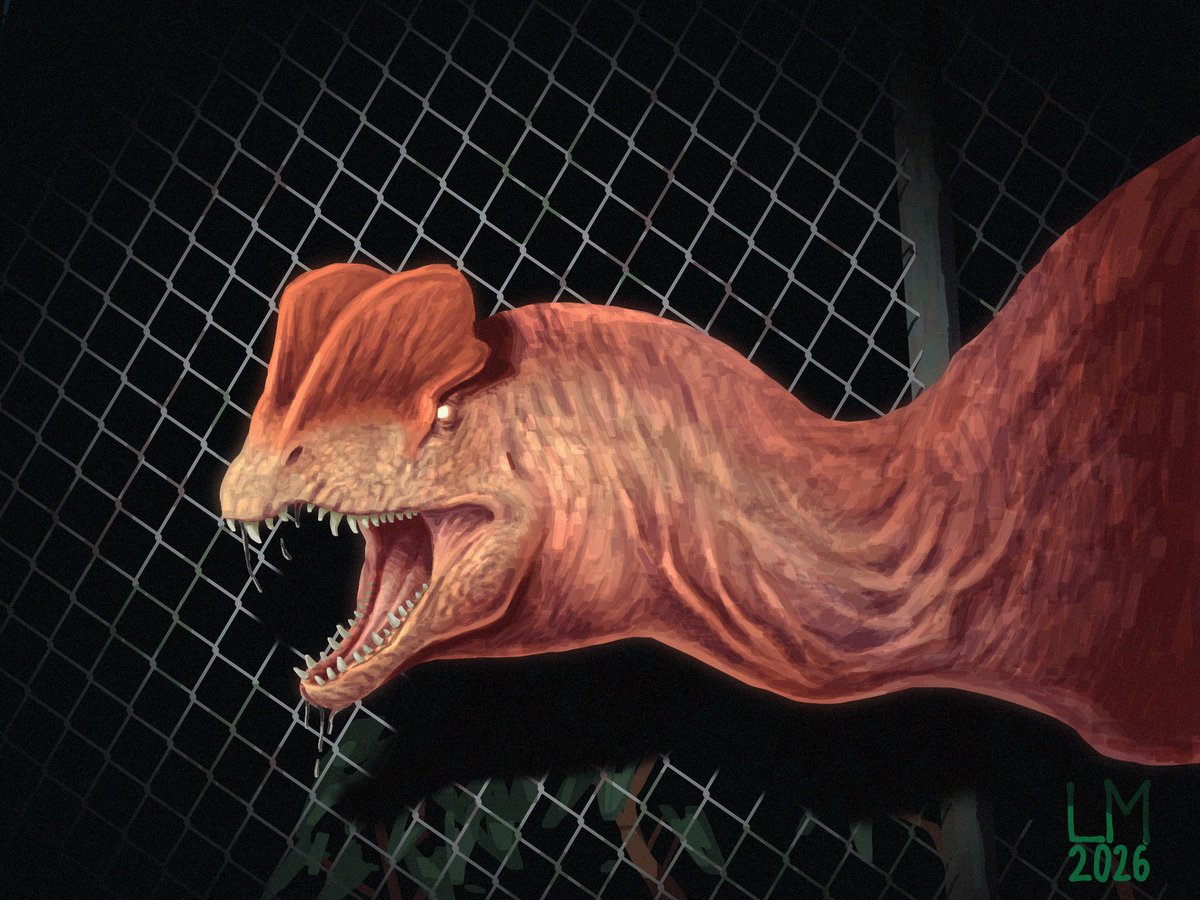 LM🦕🦖 tweet media