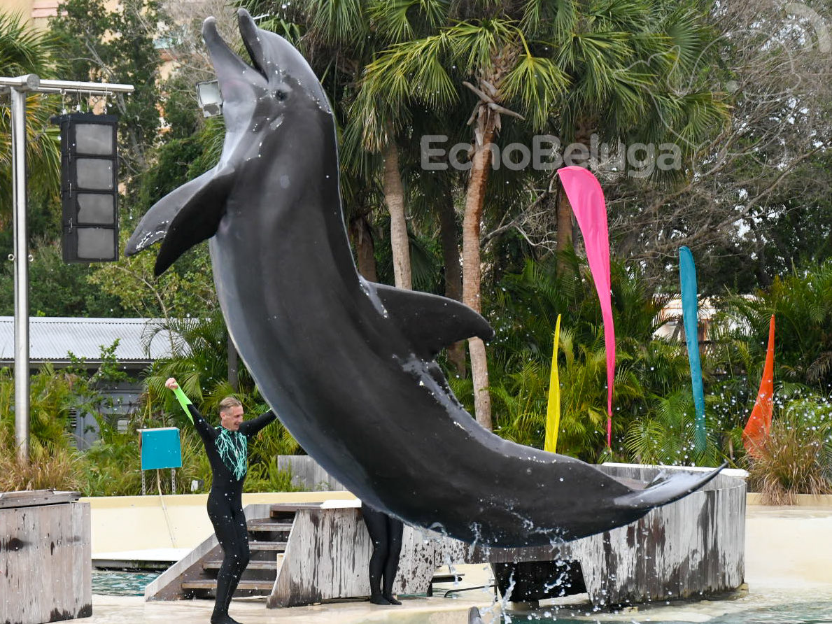 EchoBeluga tweet media