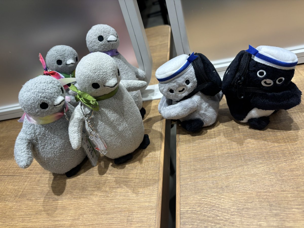 yukonkn's tweet photo. 今日はざしきわらしゃんどさんとお茶させていただきました☕️

コペンちゃん達と戯れさせていただき、ほっこり☺️

一緒にお買い物＆定ペン観測もしちゃったペン🐧

お土産もたくさんありがとうございました♡ https://t.co/8jT3gM0nmt