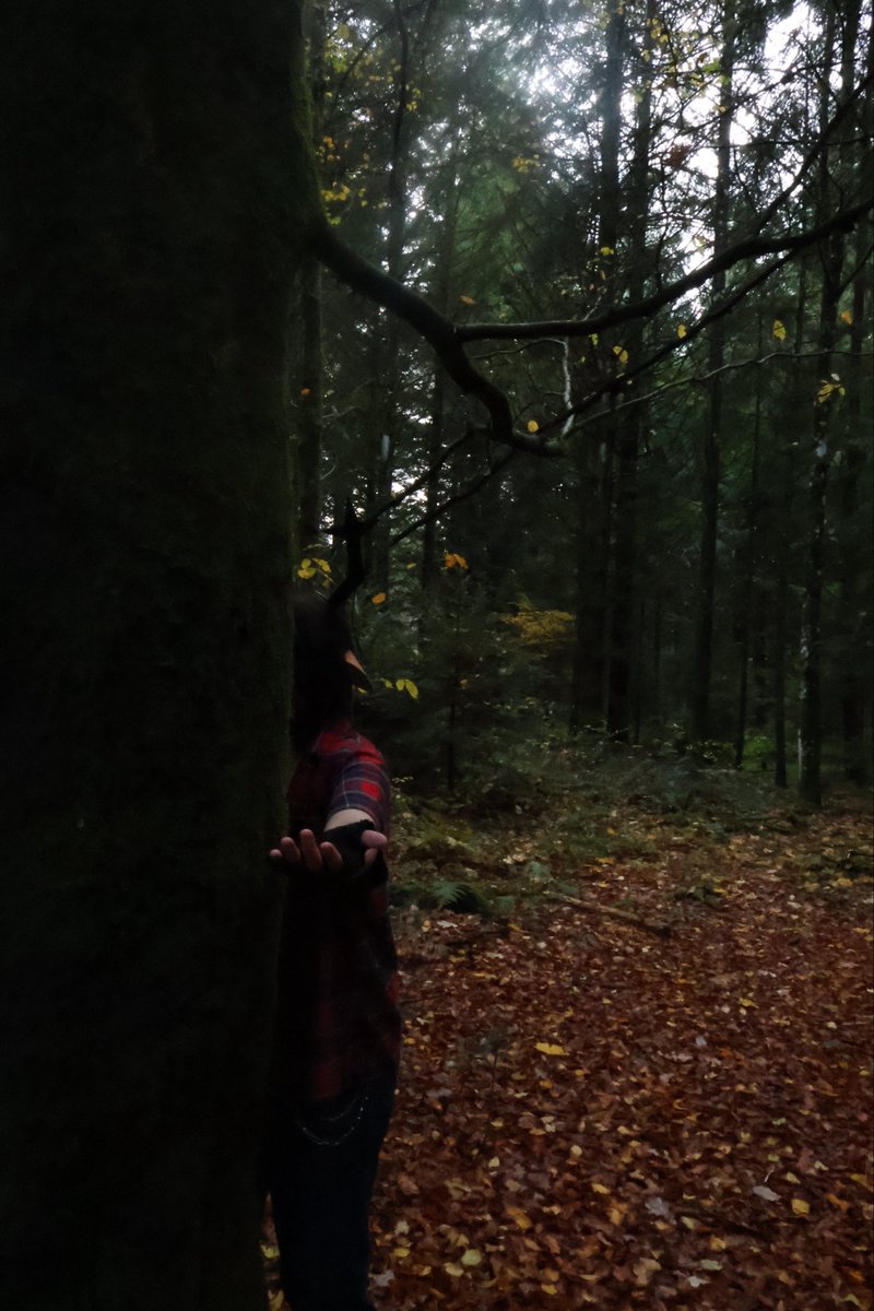 mongaha_h's tweet photo. find her

(Deltarune today so we decided to finally publish old autumn Dess cosplay photos lol)

Honestly cannot wait to finally see her design/hints on her eldritch horror form. Rest in peace, this version of Dess

Photos by @TimesNuRoman178 
Cosplay by me

#deltarune #cosplay https://t.co/YDk6Wruyv1