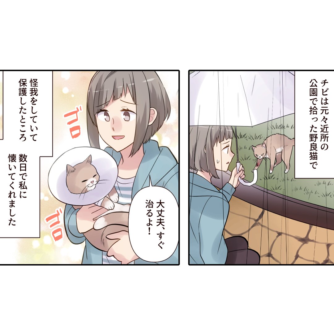 (1/8) 