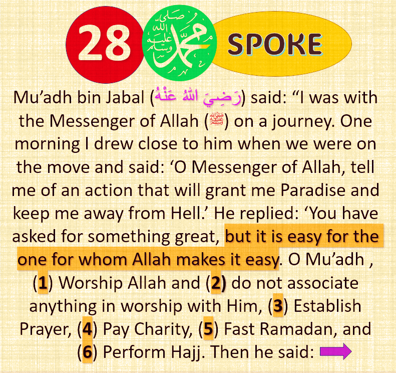 creterion's tweet photo. “Do you really know what's jihad? Do you have any mental clarity to understand jihad? Tell, what is jihad, beyond slogans?The people who attack Quran, they’re like a TOY that rattles after they’ve been loaded with lies, then they ‘let the key go’ &amp; act with noises as arguments.” https://t.co/z8Hxb40bbR