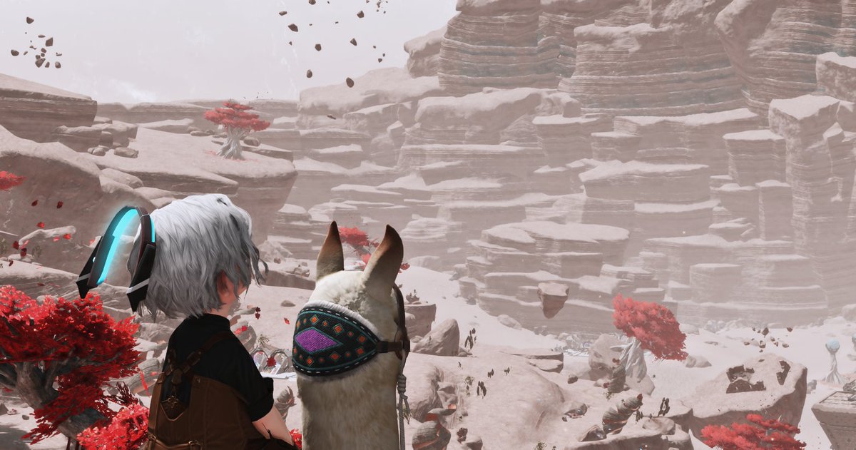 Joey_broccoli04's tweet photo. #おはララ #lalafell https://t.co/Zj4sMp37RH