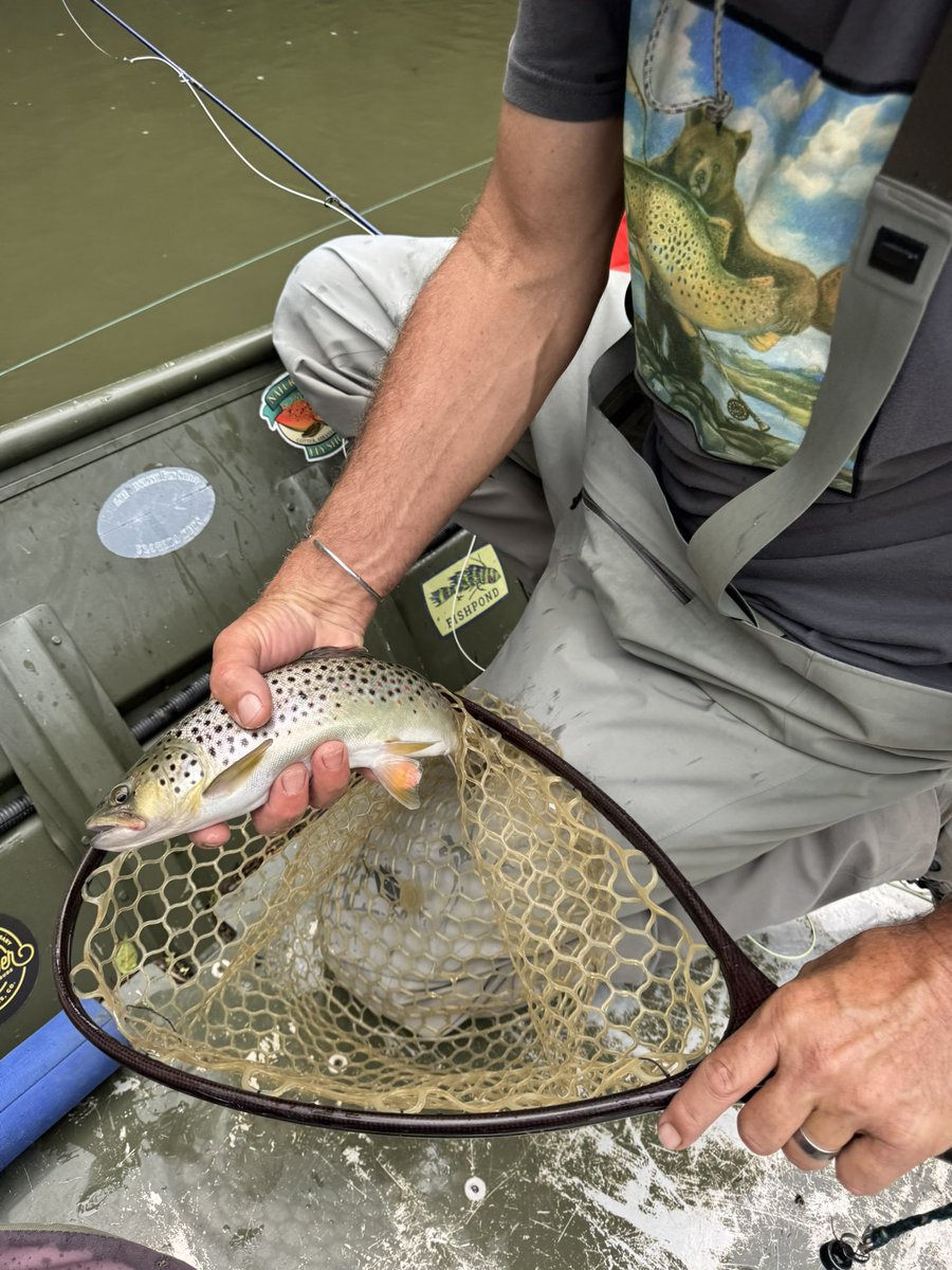 Funtusaw's tweet photo. @Chicago_History Agreed Jay
Hit me up, let’s go fishing bro https://t.co/AghXm4Z9iW