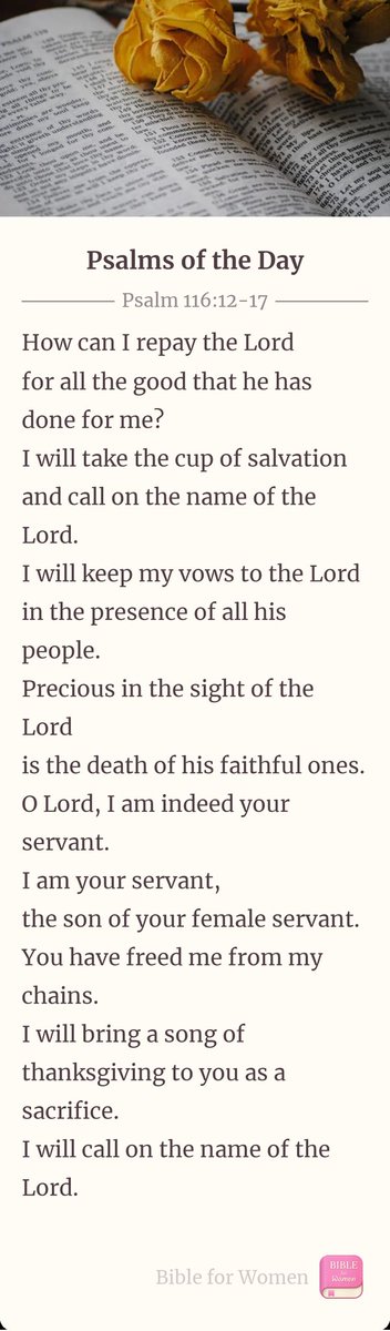 patrick_de70148's tweet photo. God love you . Trust God. Always Than God for the Bad and Good. https://t.co/4b2CKz5Tq0