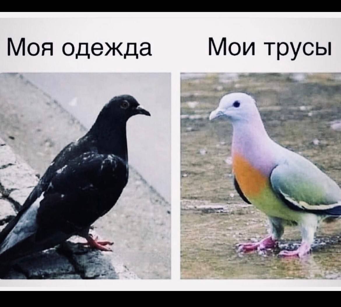 juliamayko's tweet photo. Многие https://t.co/SPX0C7lHoo