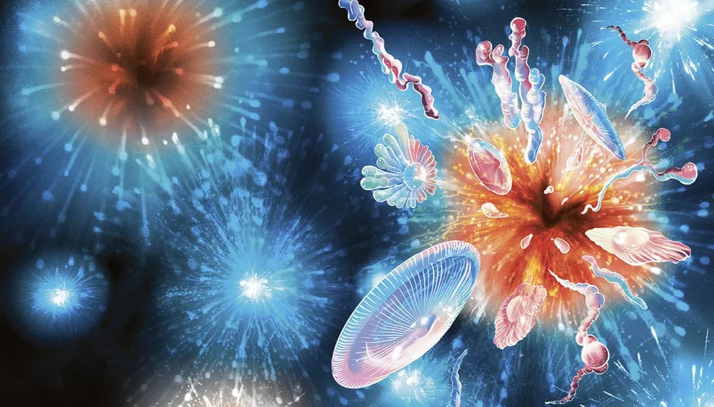 PaleontologieFr's tweet photo. La vie #multicellulaire est-elle apparue plusieurs fois sur Terre ?
Des #fossiles et des expériences suggèrent que la vie multicellulaire aurait émergé des centaines de millions d’années plus tôt que ce qui est généralement estimé.
#évolution
https://t.co/CR4thvQBPS https://t.co/AqIPhDaacP