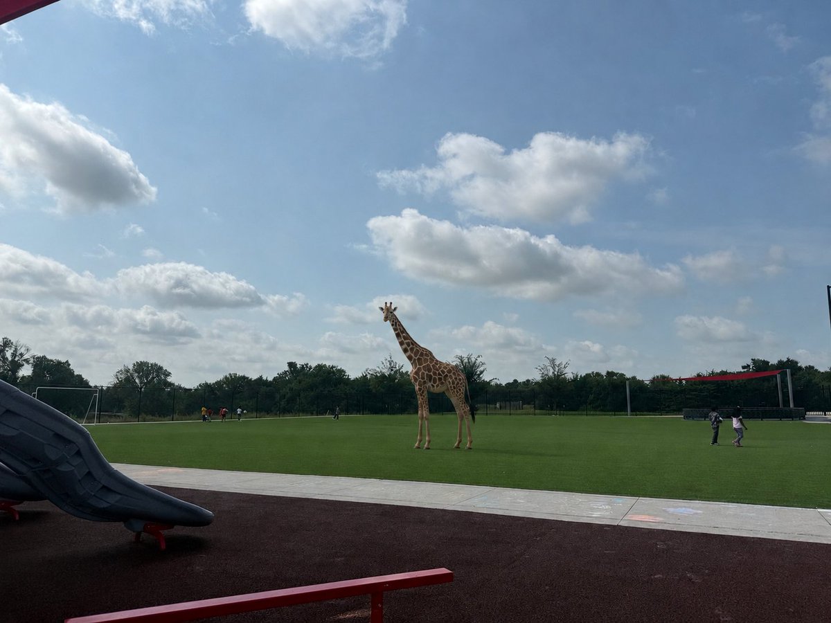 MrsCostillaEB's tweet photo. Mrs. Sparks's class spotted the lost giraffe on the playground!
#MelissaSchools https://t.co/NfMHvficMn