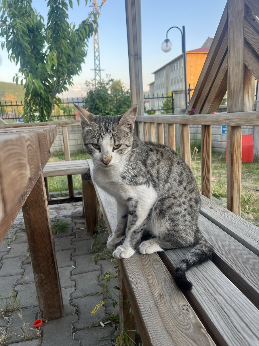 ogretmennt's tweet photo. Eeee anlat bakalım😀 https://t.co/OJU0lCvX9p