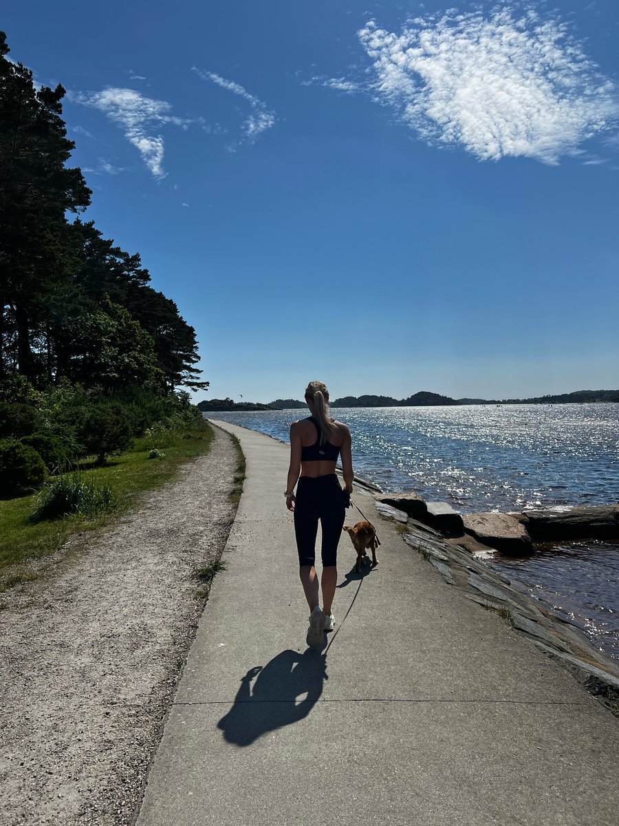 LiseSorensen_'s tweet photo. Sommer på Sørlandet 🌊🐚🌞 https://t.co/zbkK440clW