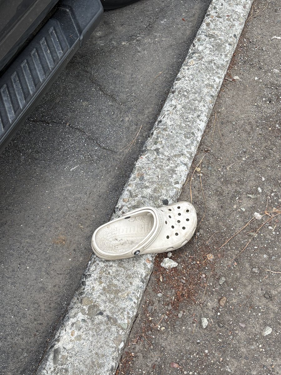 turtledumplin's tweet photo. If Cinderella was from Florida: https://t.co/ppV9cfoax8