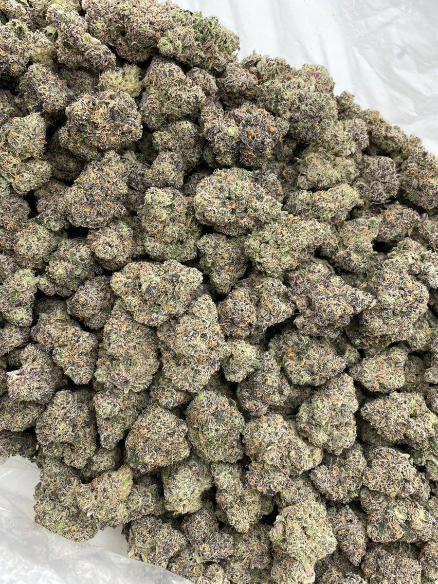 Cloud9Collect42's tweet photo. Zour Blowpops indoors 😵🍭 Join Menu below 

Telegram : https://t.co/1U9Pwo1Q56

#WeedCulture #BudLife #MaryJane #VapeWorld #StayHighFam https://t.co/EGEtAil6QR