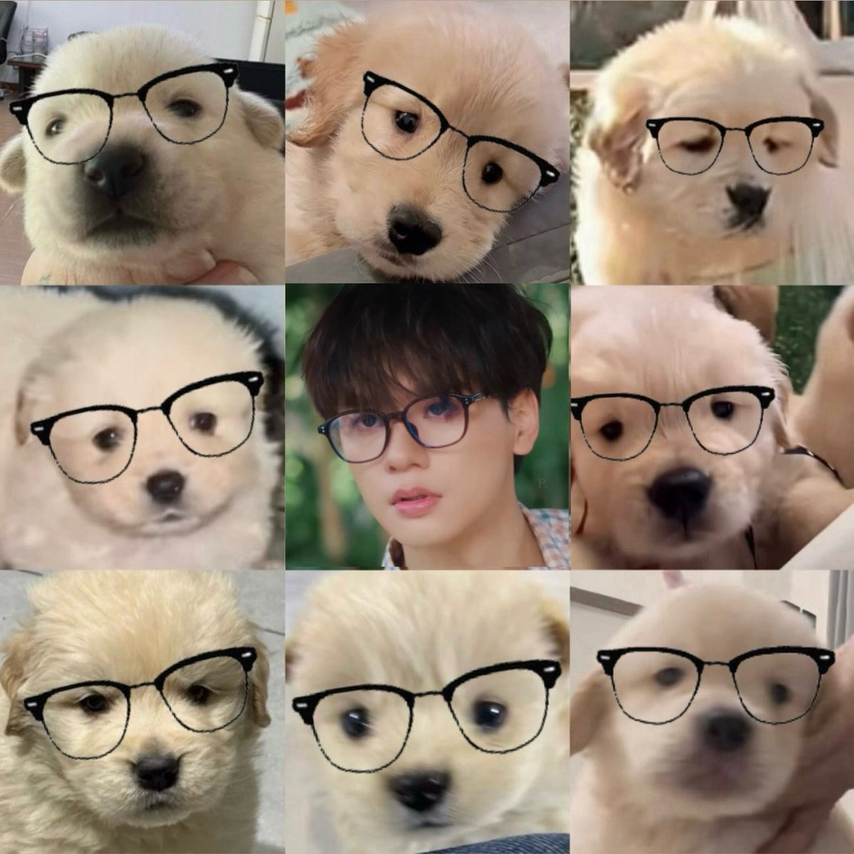staywithharit's tweet photo. คนไหนคือน้องม๋าภุตุวจิง ( 🐶? ) https://t.co/BnRcNG6jra