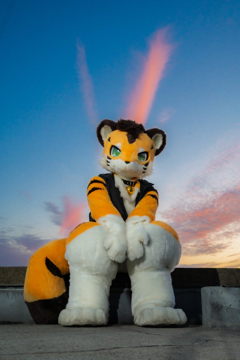 FurryHinri's tweet photo. 今週末に開催されるUTFGに参加します！！
初海外&amp;初ステージ！！✈
気合い入れてがんばるぞ～～！！！！🐾
#UTFG #UTFG2026 https://t.co/Vy8i9fLoDA