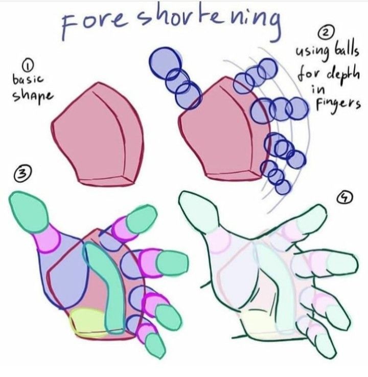 deskmatis's tweet photo. Easy hand anatomy! https://t.co/wQvrgK8L53