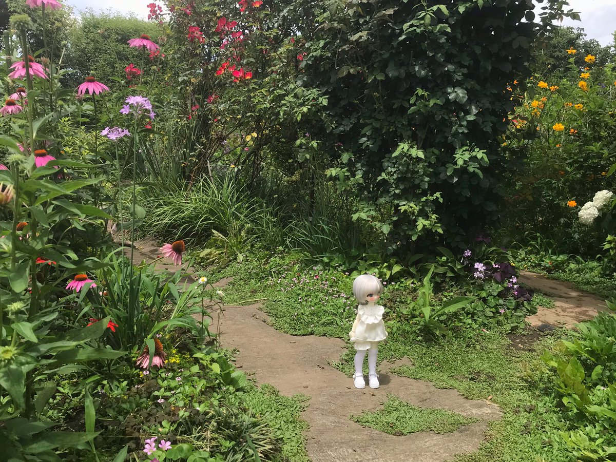 fleiyu's tweet photo. ノーミ君in花園　その2
 #TinyFox https://t.co/LxtQbq0kAM
