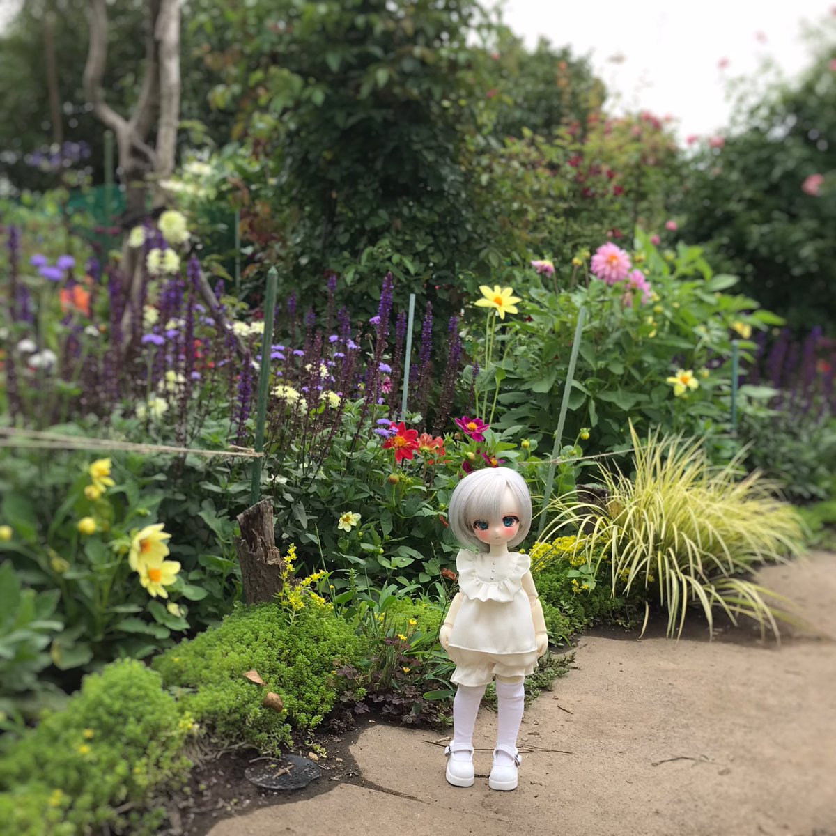 fleiyu's tweet photo. ノーミ君in花園　その2
 #TinyFox https://t.co/LxtQbq0kAM