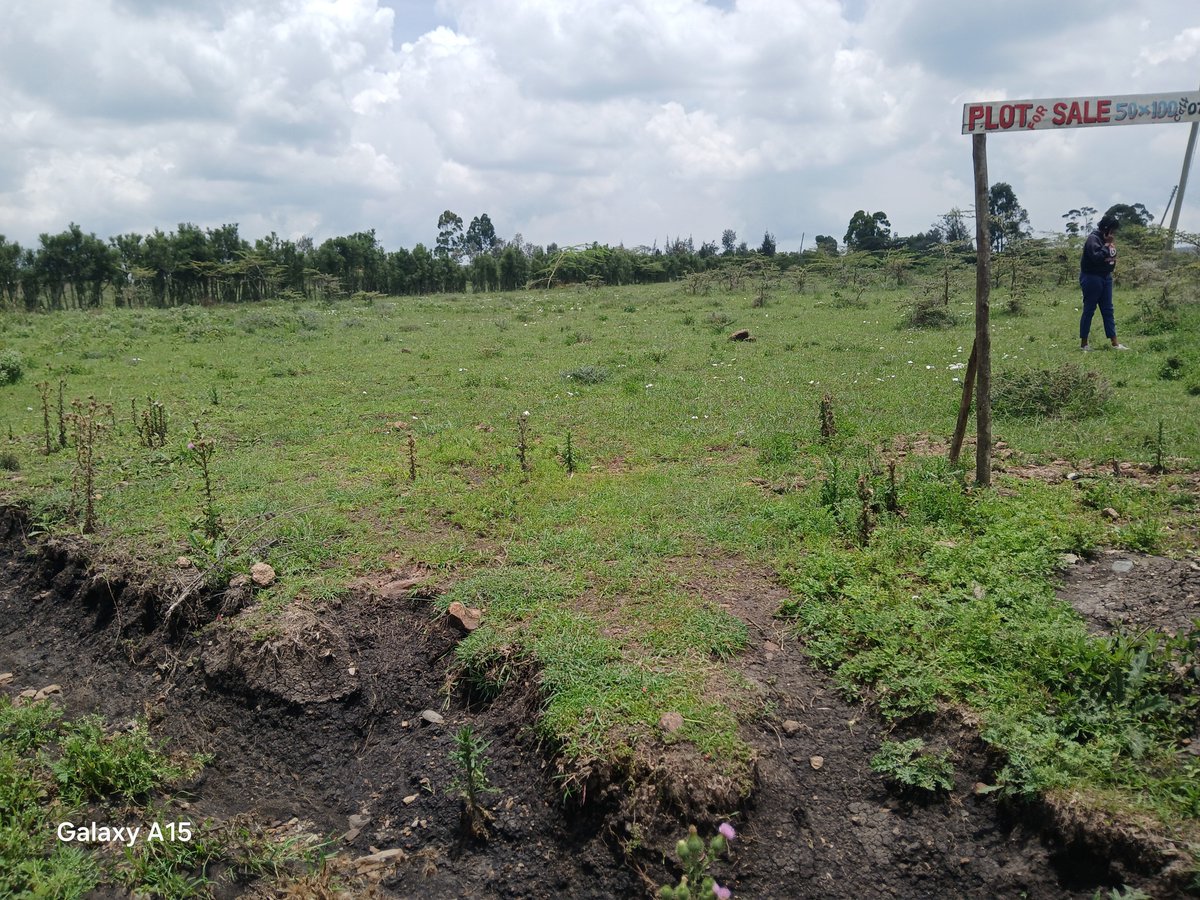 edwardmanthi's tweet photo. 🌳 PRIME PLOT FOR SALE – KISERIAN 🌳

Own a piece of land in one of Kiserian's fast-growing areas!

📍 Located just 800 Metres from Olerai Boarding School

📍 Easy access from DC Petrol Station
✅ Water available
✅ Good all-weather murram road

💰  Price: Ksh 1,300,000 https://t.co/By1zC2MASo